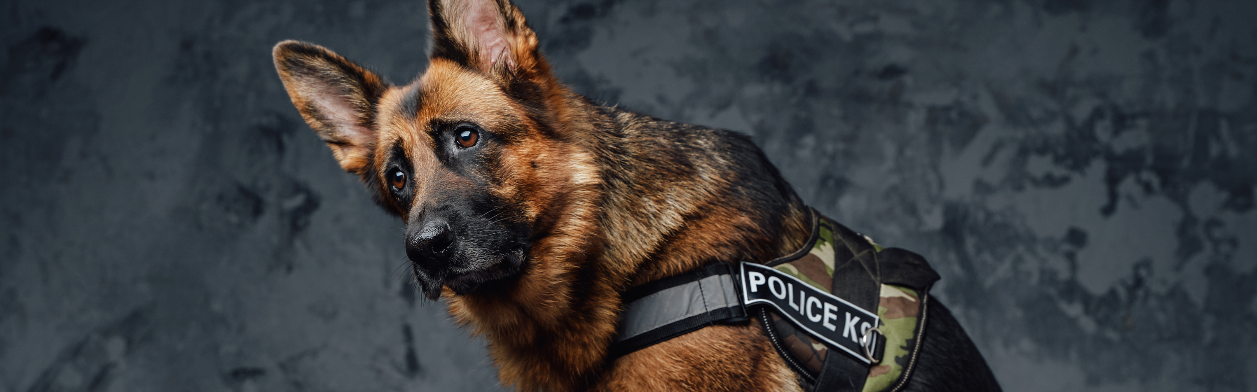 Business protection and security concept